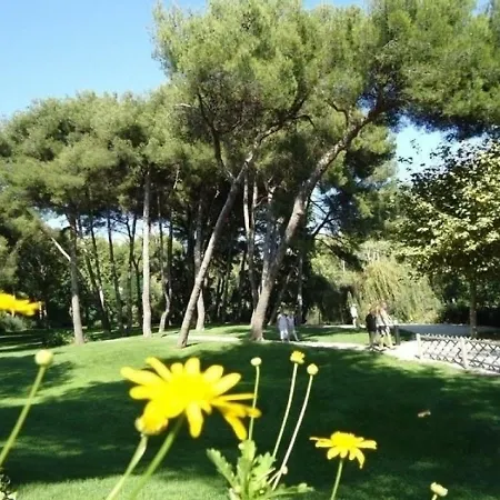 Pierre Et Vacances 3 Apartman *